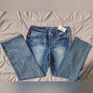 WallFlower | Women's Jeans | The Luscious Curvy Fit | 18L